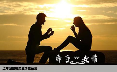 过年回家相亲成功率预测
