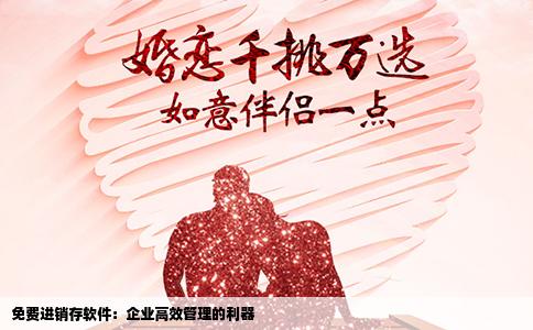 免费进销存软件：企业高效管理的利器