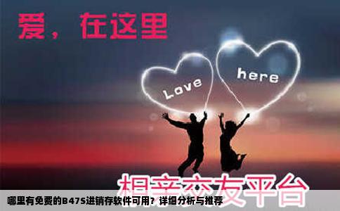 哪里有免费的B47S进销存软件可用？详细分析与推荐