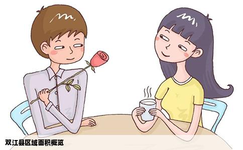 双江县区域面积概览