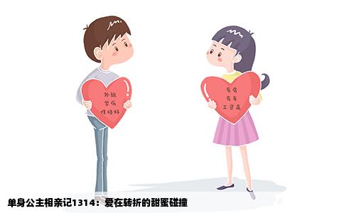 单身公主相亲记1314：爱在转折的甜蜜碰撞
