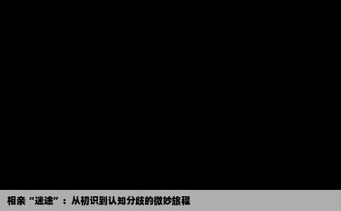 相亲“迷途”：从初识到认知分歧的微妙旅程