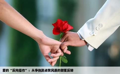 爱的“反向操作”：从争执到点赞风暴的甜蜜反转