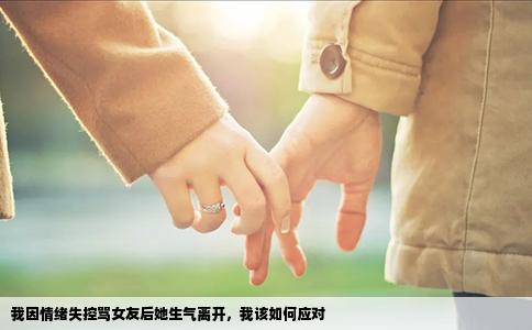我因情绪失控骂女友后她生气离开，我该如何应对