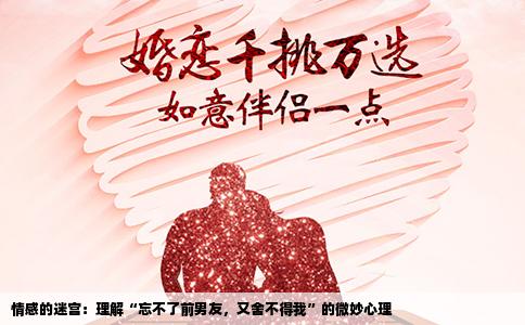 情感的迷宫：理解“忘不了前男友，又舍不得我”的微妙心理