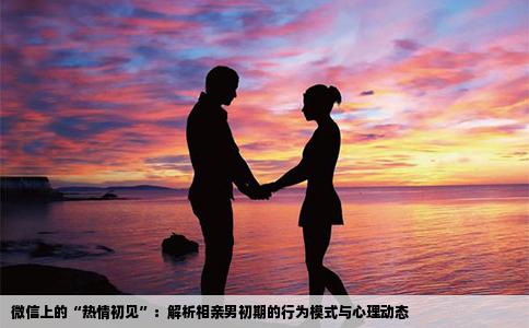 微信上的“热情初见”：解析相亲男初期的行为模式与心理动态