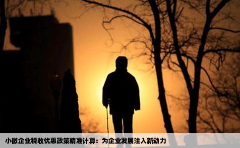 小微企业税收优惠政策精准计算：为企业发展注入新动力